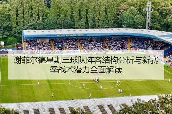 谢菲尔德星期三球队阵容结构分析与新赛季战术潜力全面解读